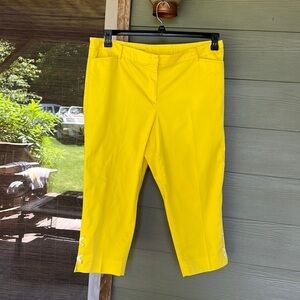 Talbots Perfect Crop Pants